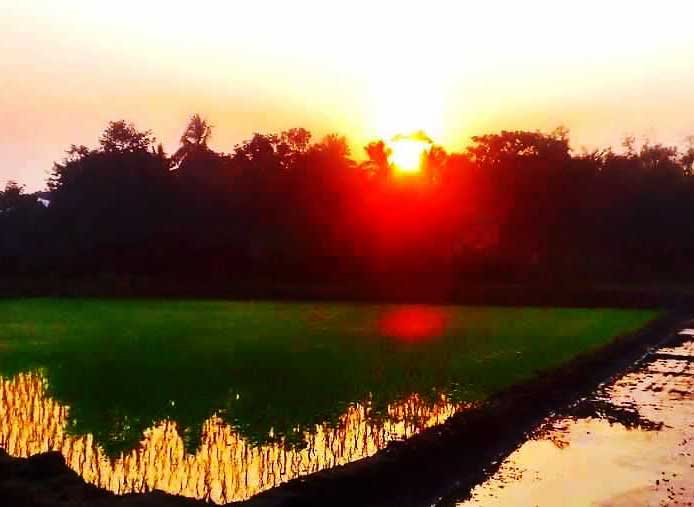 Bangladesh independence day 16th December