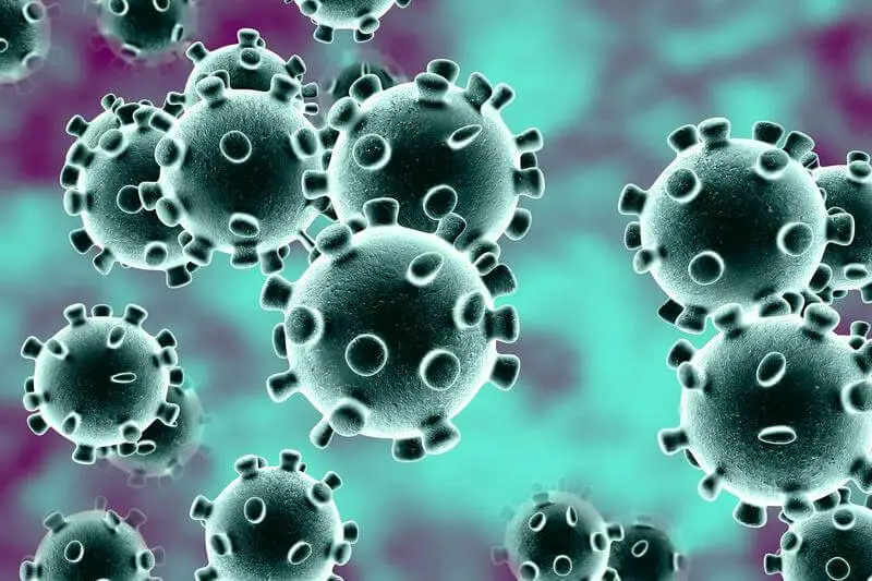 CoronaVirus paragraph