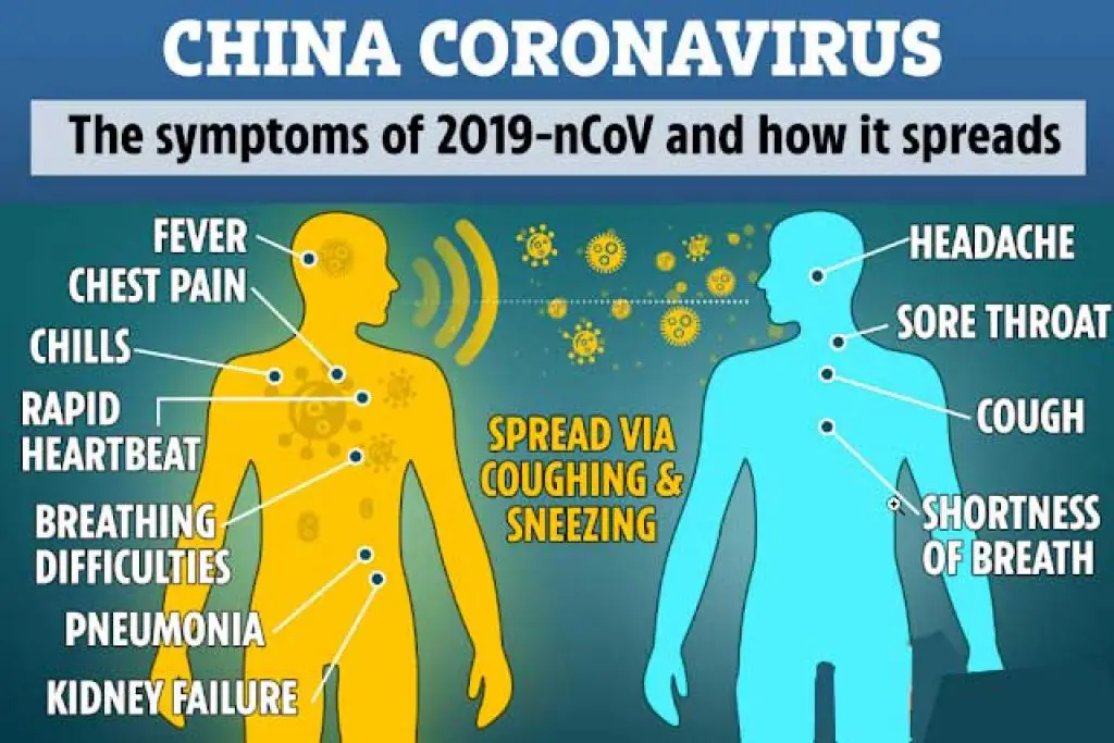 What is Coronavirus